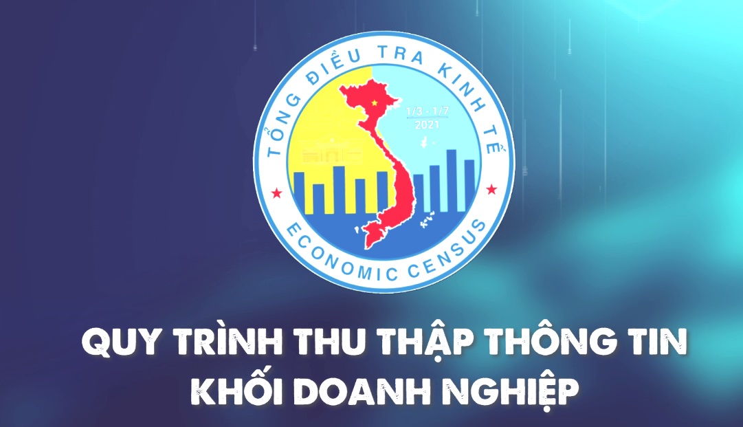 Video Hướng dẫn Quy trình thu thập thông tin khối doanh nghiệp  - TĐT Kinh tế